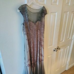David and Bridal prom dress worn once